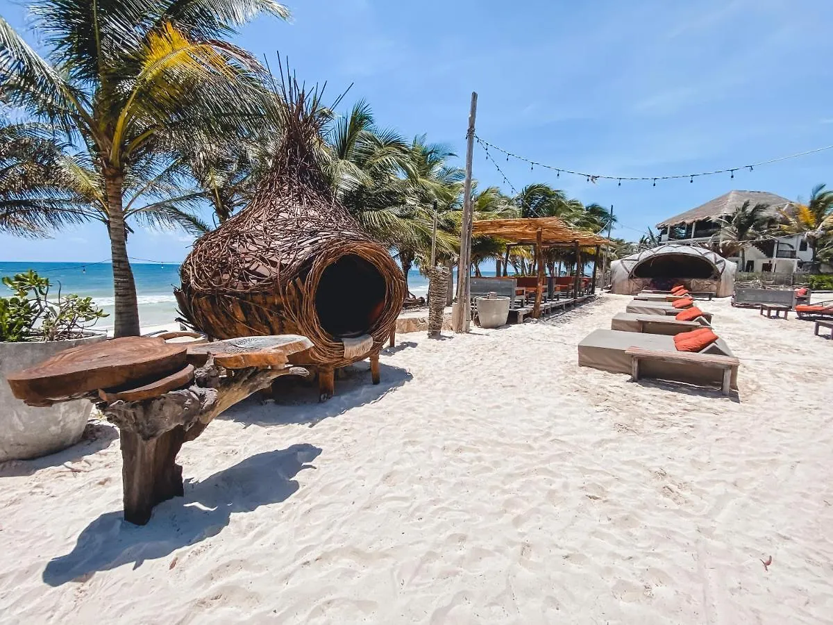 아파트 Brand New Tulum Luxury 2Bd 2Bath Condo With Rooftop Pool